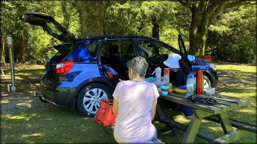 Lovely picnic forest walking location in Gore Southland New Zealand Dolamore Park